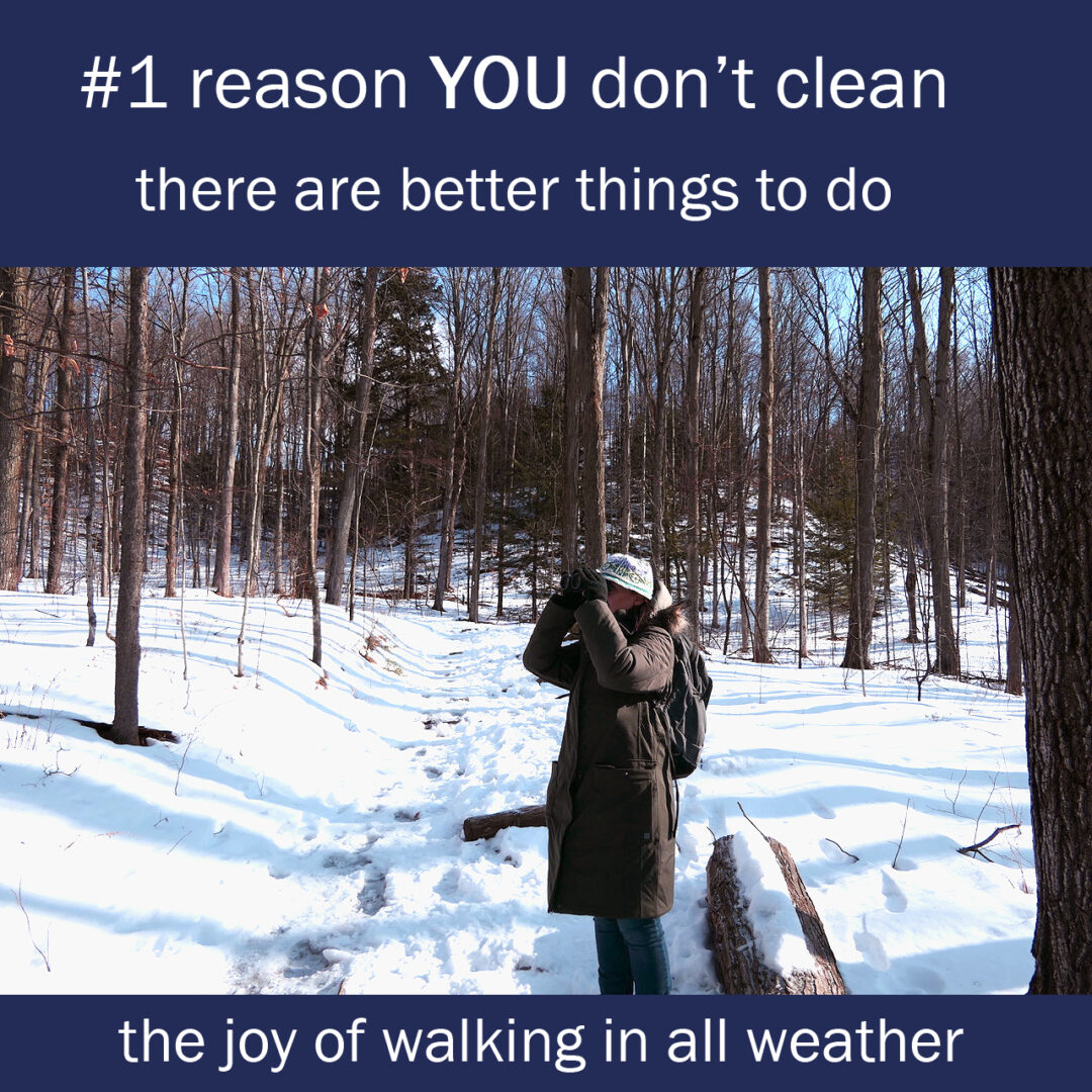 Read more about the article #3 – Reasons NOT TO CLEAN: Walk & Hike